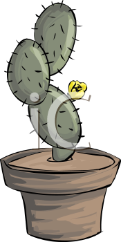 Plant Clipart