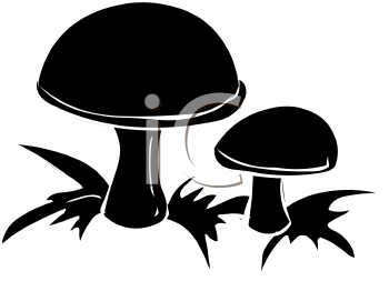 Plant Clipart