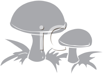 Plant Clipart