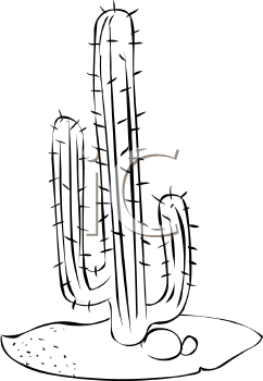 Plant Clipart