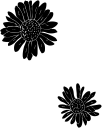 Flower Clipart