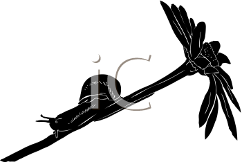 Flower Clipart