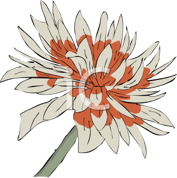 Flower Clipart