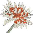 Flower Clipart