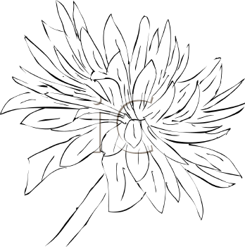 Flower Clipart