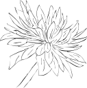 Flower Clipart
