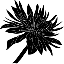 Flower Clipart