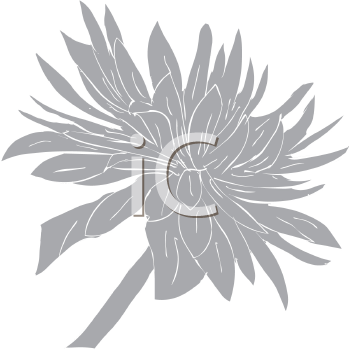 Flower Clipart