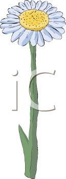 Flower Clipart