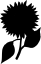 Flower Clipart