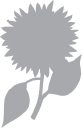Flower Clipart