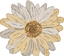 Flower Clipart