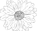 Flower Clipart