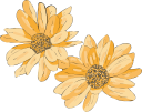 Flower Clipart