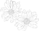 Flower Clipart
