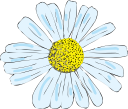 Flower Clipart
