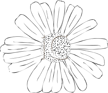 Flower Clipart