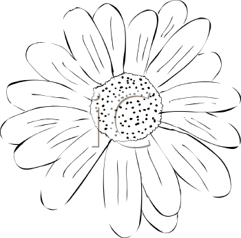 Flower Clipart
