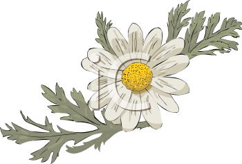 Flower Clipart