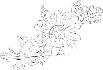 Flower Clipart
