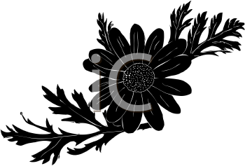 Flower Clipart