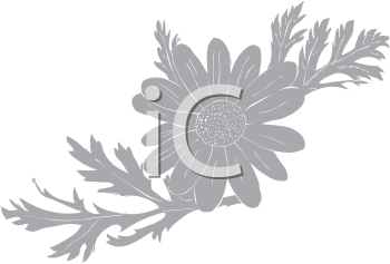 Flower Clipart