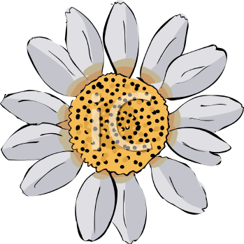 Flower Clipart