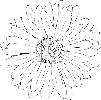 Flower Clipart