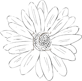 Flower Clipart