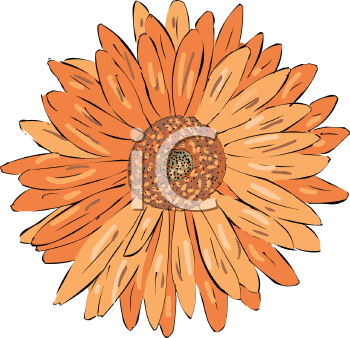Flower Clipart