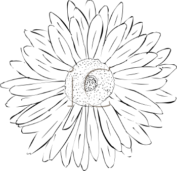 Flower Clipart