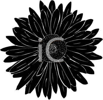 Flower Clipart