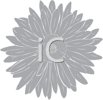 Flower Clipart