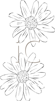 Flower Clipart