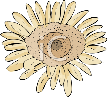 Flower Clipart