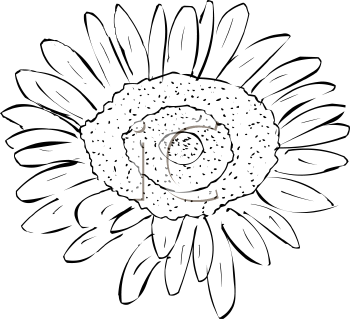 Flower Clipart