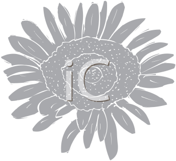 Flower Clipart