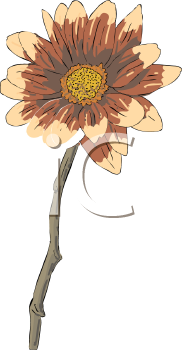 Flower Clipart