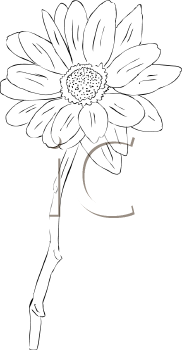 Flower Clipart