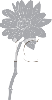 Flower Clipart