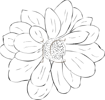 Flower Clipart