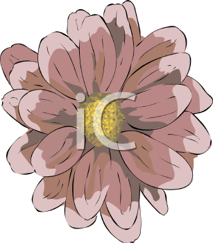 Flower Clipart
