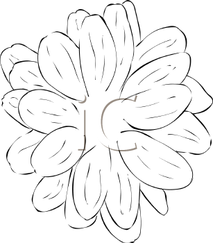 Flower Clipart
