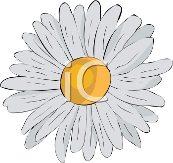 Flower Clipart