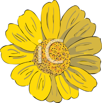 Flower Clipart