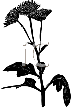 Flower Clipart