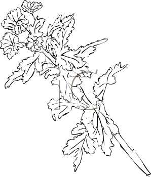 Flower Clipart