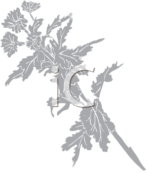 Flower Clipart