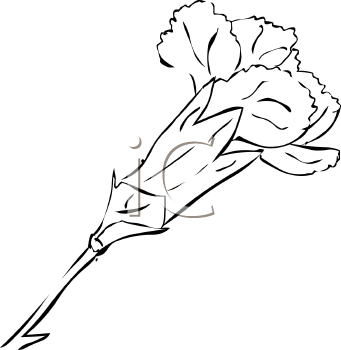 Flower Clipart