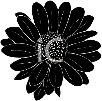 Flower Clipart